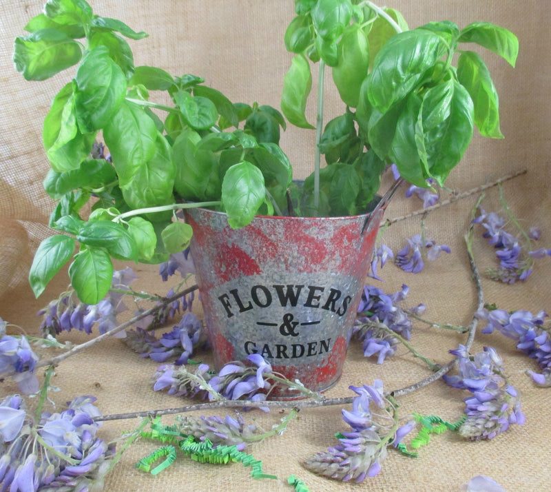 Flower Garden Tin Bucket Hand-Painted Red Shabby Chic Rustic Planter