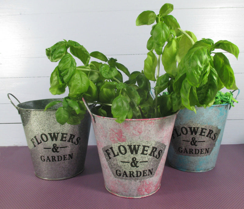Flower Garden Tin Bucket Hand-Painted 2-tone Shabby Chic Rustic Wedding Metal Flower Pot Planter